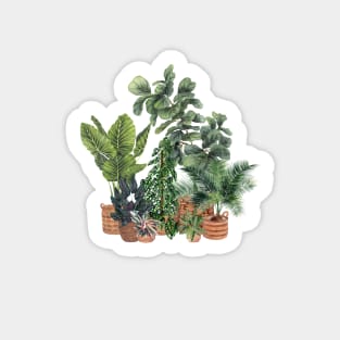 House Plants Illustration 17 Sticker